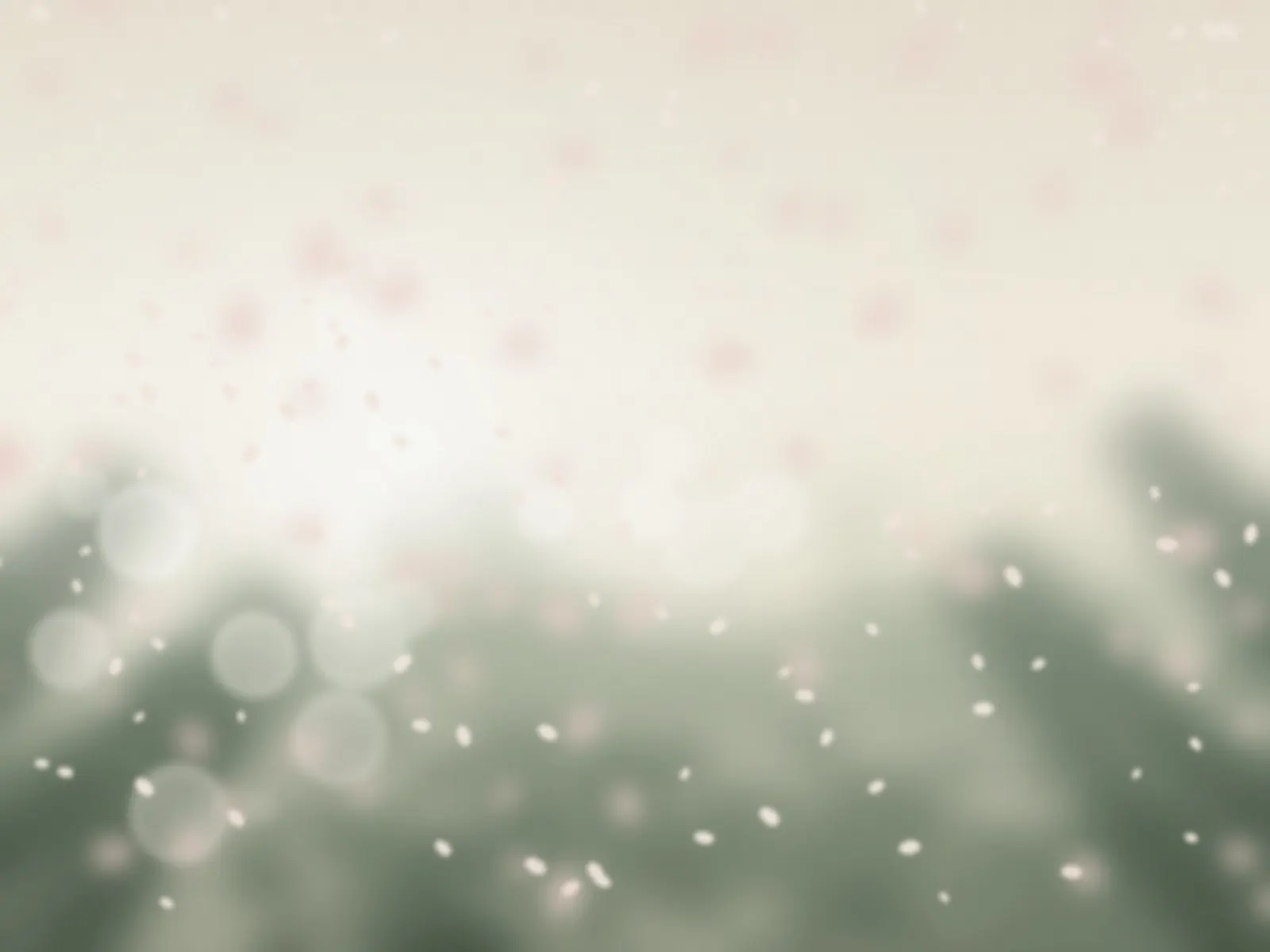 Petal confetti (sample photo)
